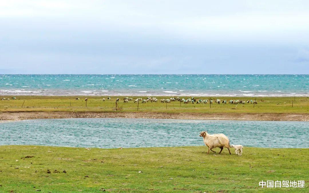 喀什|大西北近年来爆火的景观大道，有多“孤独”就有多震撼！|中国自驾地理