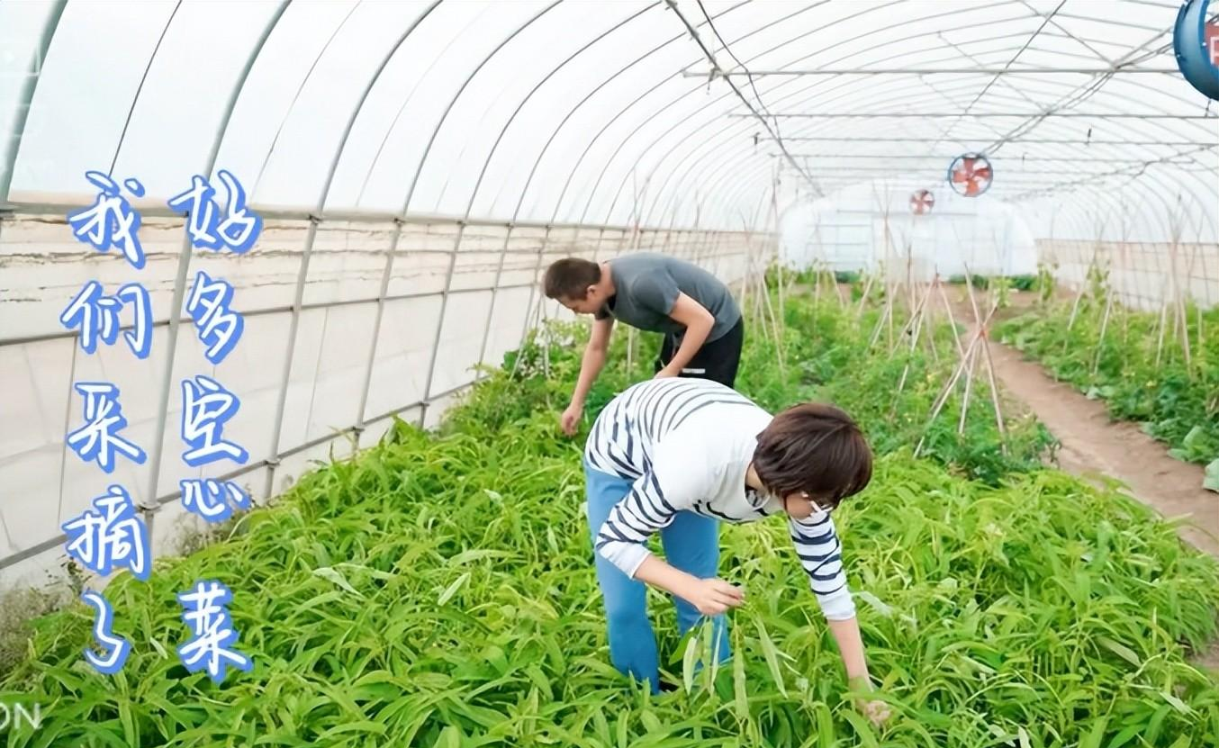 孙俪|邓超近照暴瘦，五官大变样，孙俪也眼凸脖子鼓，这对夫妇是咋了？