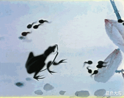 葫芦娃|《葫芦兄弟》导演胡进庆：因为太穷了，葫芦兄弟只好住在山洞里