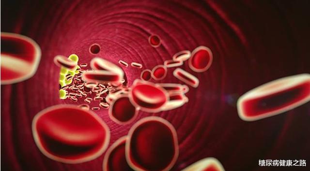 饮食|血管是怎样老化的?导致血管老化的5大原因,你了解几个