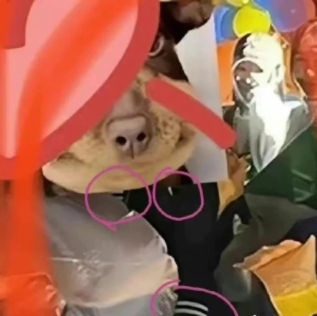 赵露思|?杨洋赵露思恋爱了？两人被扒戴情侣戒指，还穿情侣衣配情侣鞋