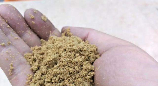 |野外钓鱼还要注意节奏？垂钓节奏一旦把控好，上鱼时间会成倍延长