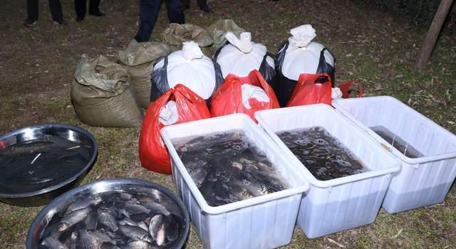 |钓鱼人：放了几条鱼这条江就是你的了？被放生者诅咒辱骂