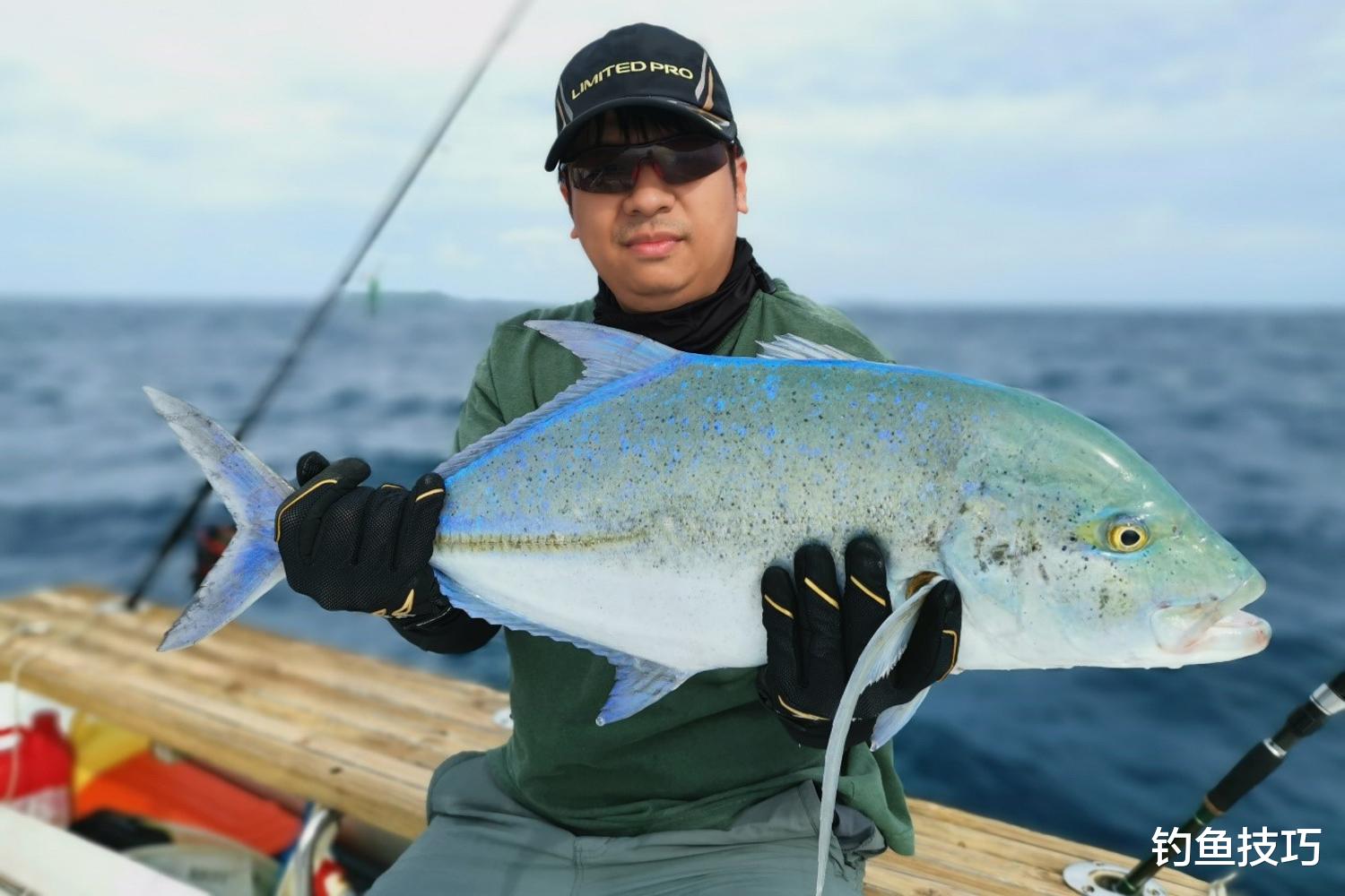 鳑鲏|海钓有哪些种类？海钓用哪种鱼饵效果好？海钓的种类和用饵技巧