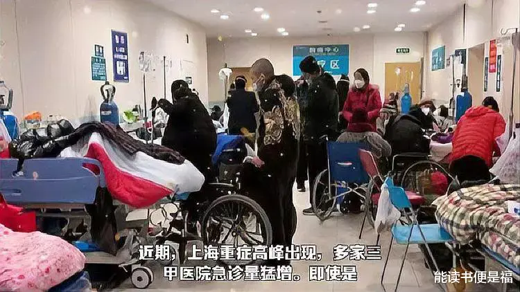 放开后三大怪象:报复性消费丢了、群众被骗、专家公信力下降