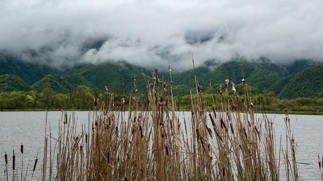 |渔乐杂谈：秋天里作钓，目标鱼和钓位与天气息息相关