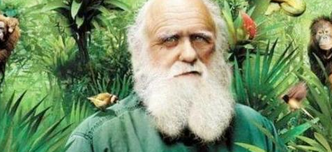 地球生物的演变史,你是否了解过!
