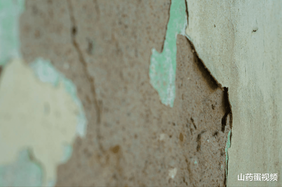 |住过的人才知道,边户未必比中间户好,看完这4点你就懂了