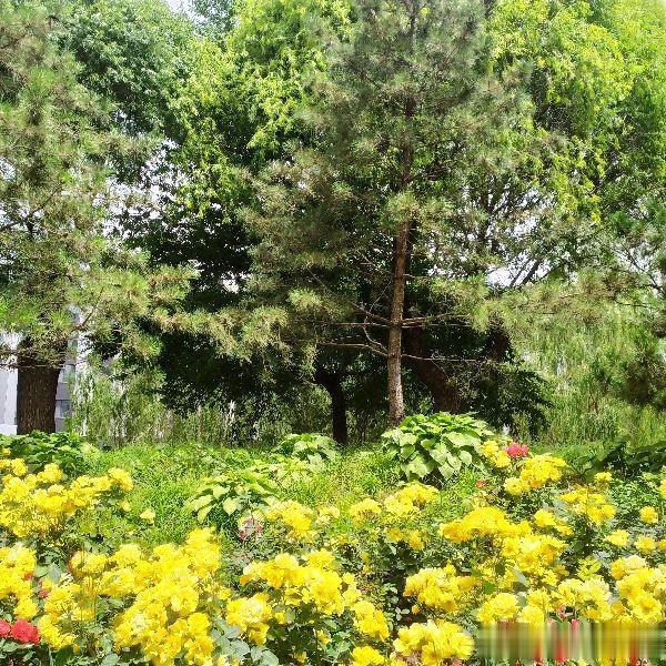 大学|也谈职场学习中的有关话题---老韩头条三言两语杂谈四十五