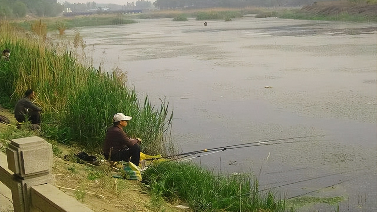 |深秋野钓鲫鱼要做到“六钓六不钓”，你也一样能钓得盆满钵满