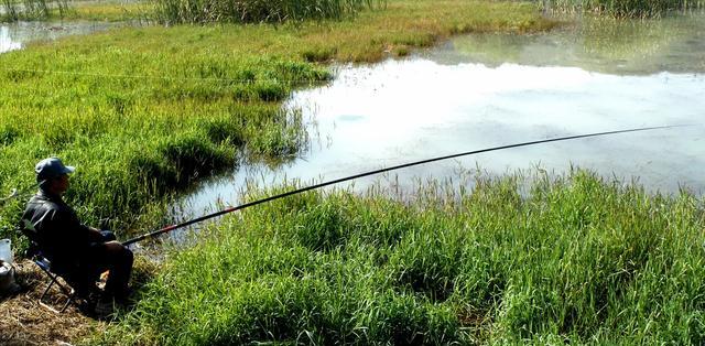 鲫鱼|广西一男子野钓收获10斤大甲鱼，想放生却被阻止，原来是外来物种