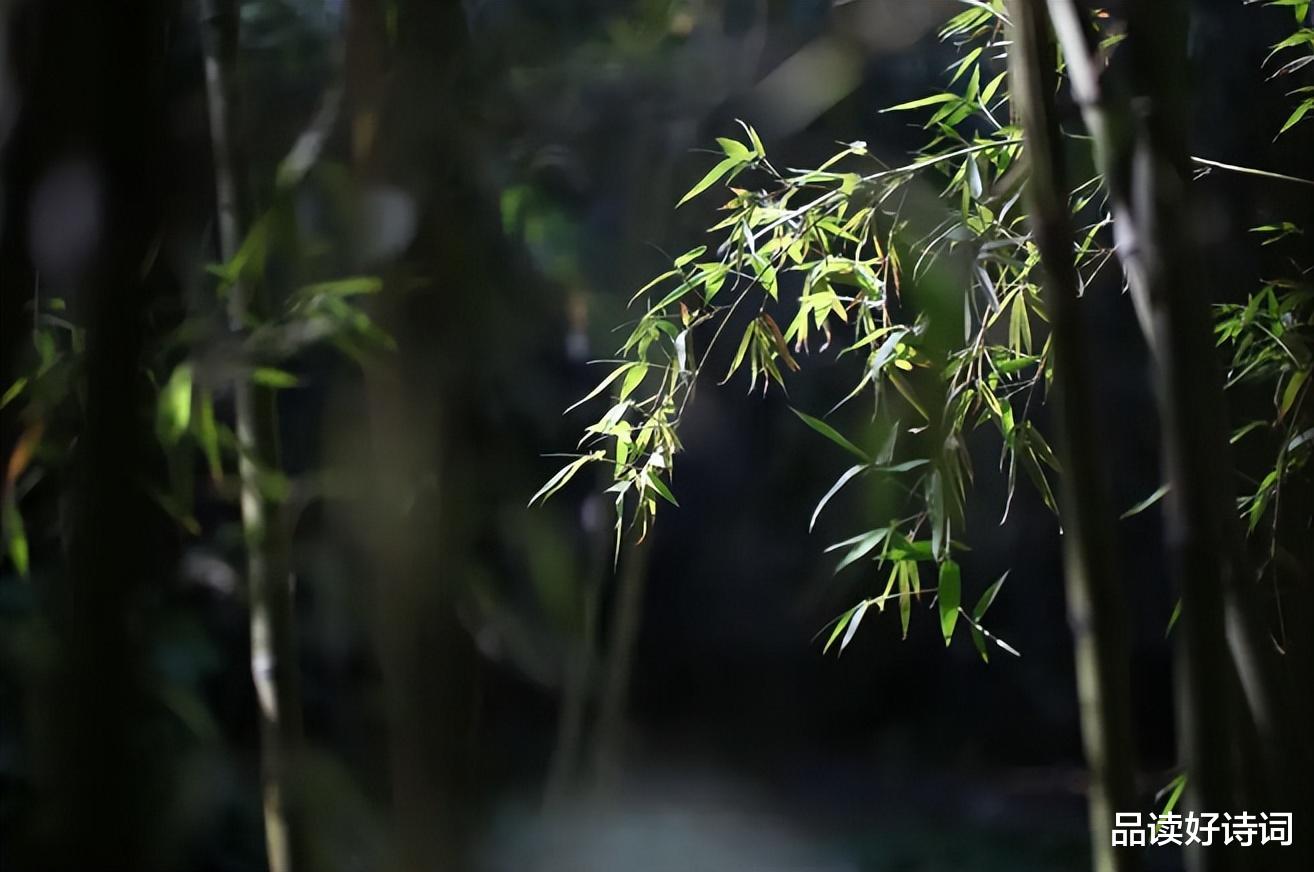 欧洲旅游|长河帆影 | 方塘半亩三分韵,记取家山一片心(原创上溪十景诗)