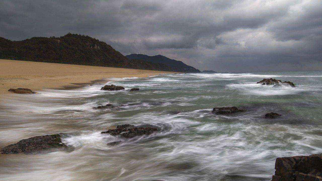 控制器|真快乐又更名为国美，黄光裕“瞎折腾”最终害苦了谁？