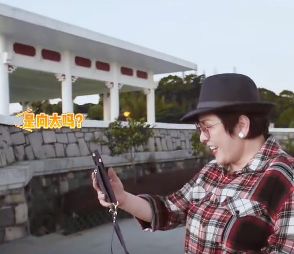 |向太陈岚偶遇粉丝合影,细节被质疑摆拍,想跟张兰学习还差得远