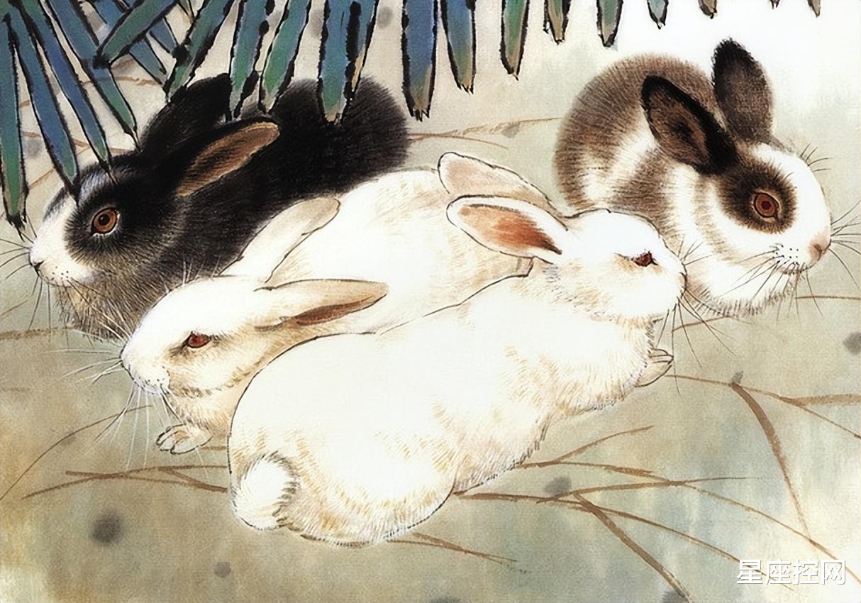 人力资源和社会保障部|哪几个生肖的人,事业步步高升,迟早能收获成功的喜悦