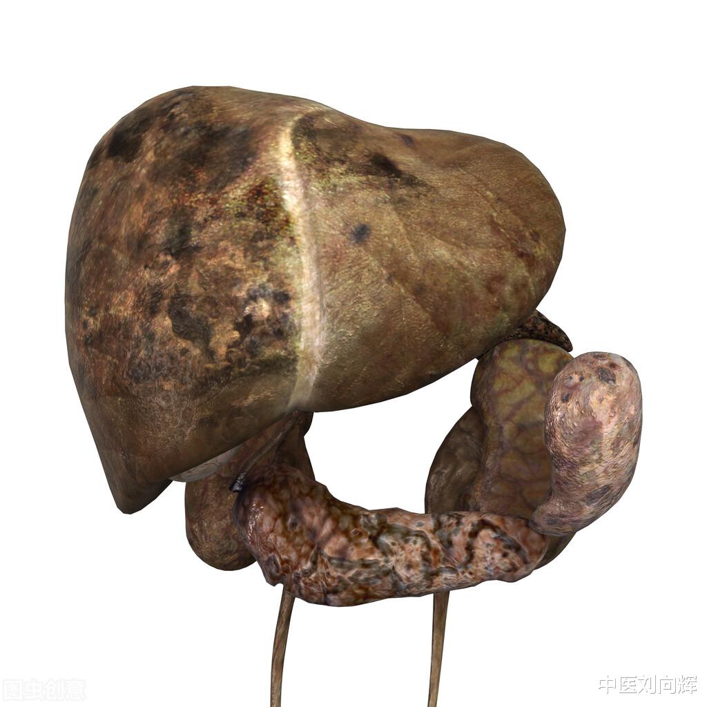 尿酸|尿酸高怎么办?医生教你两招,帮你有效降尿酸!