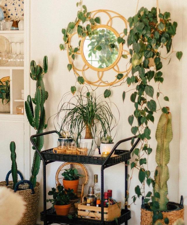 处处有植物的森系家居,配上藤编,整个家都能感受到大自然的呼吸