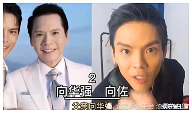 娱乐圈|娱乐圈十大“无人敢惹”的太子爷,吴尊未进前五,向佐反排第二