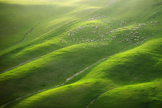 |如诗如画：油画草原，飞翔牧民