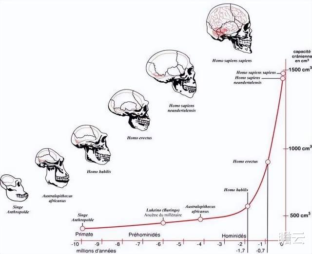 人类祖先为了进化成人,究竟付出了什么惨痛的代价?