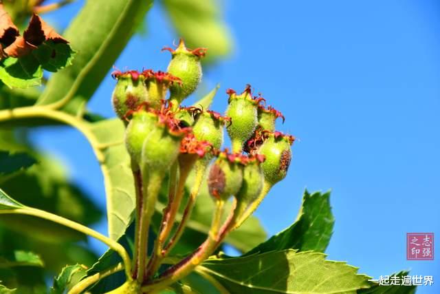 宝贝|我在甘肃旅行,发现一座宝藏小镇,里面藏着许多“宝贝”