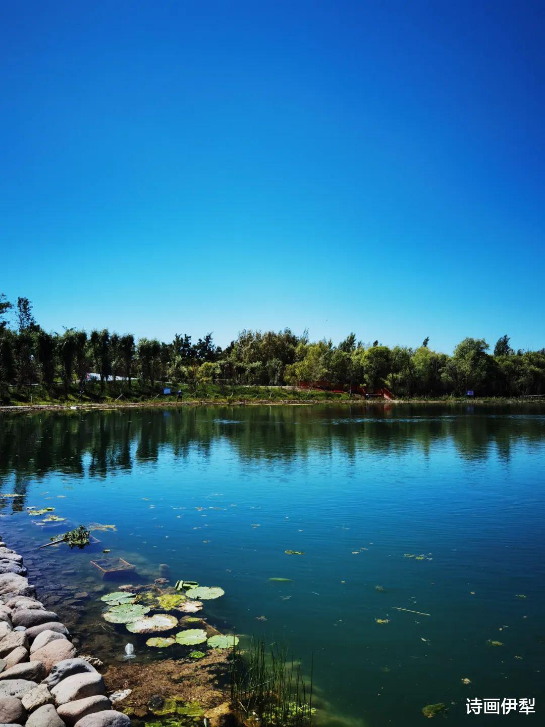宿州|新疆旅游 —— 伊犁河是来伊犁旅游必去打卡的地方之一