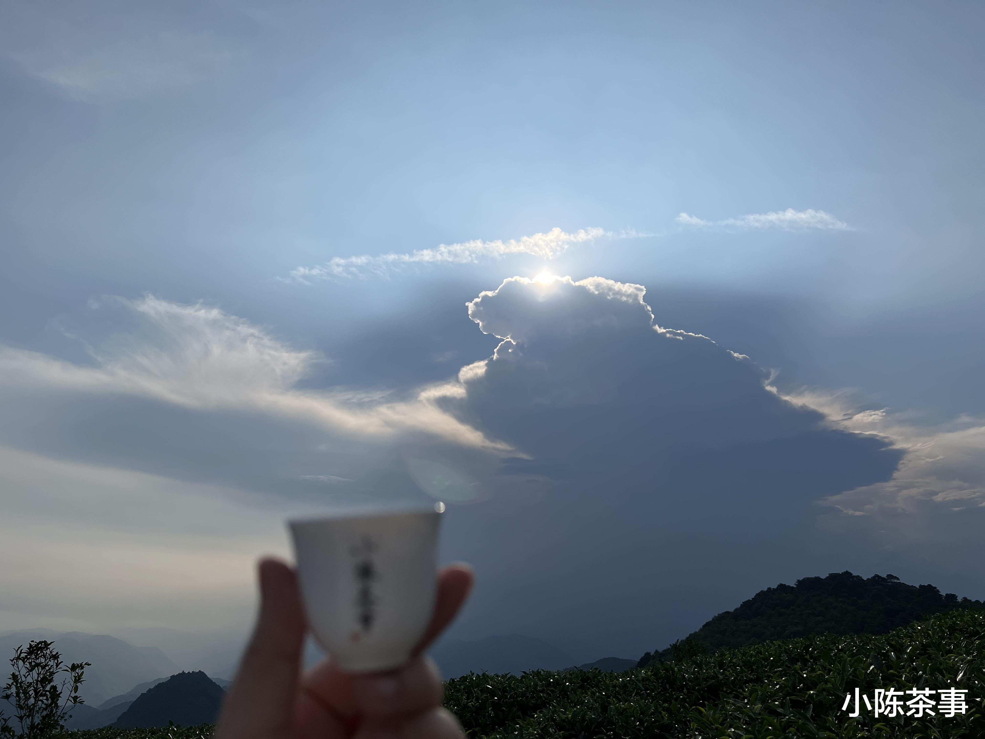 买了好多茶叶，几乎六大茶类都有，我该怎么保存？教你5个妙招！