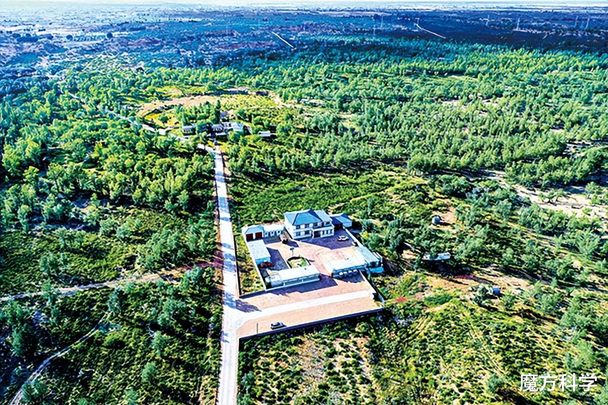罕见!河南地表最高温74℃,南京树木自燃烧断根,为何如此反常?