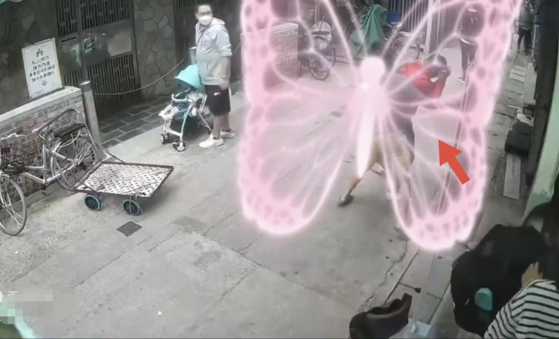 秦岚|知名男星街头打架，遭对方挑衅拳打脚踢，不敢过猛还击被吐槽