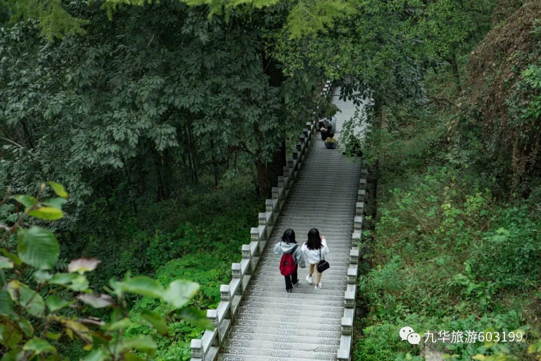 昆明|最美的人间四月天，九华山get到了！