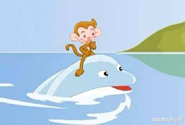 猴子与海豚在海上的遭遇