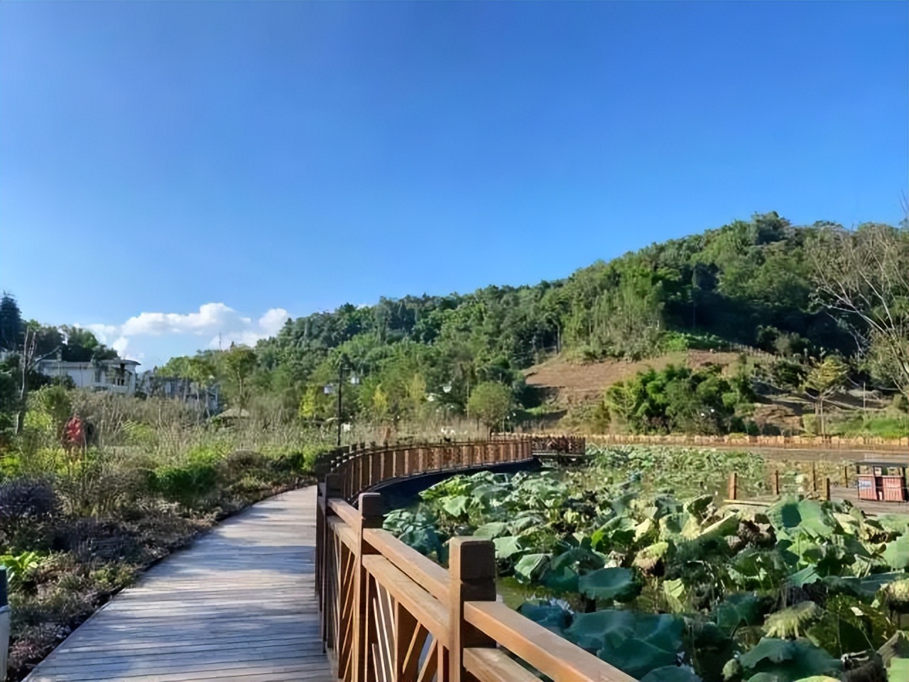 青岛市|想去大自然里透透气  想搭起帐篷、支起烤架、摆上美食  想烤串、弹琴、歌唱、谈心、看星星……  去露营吧！！！
