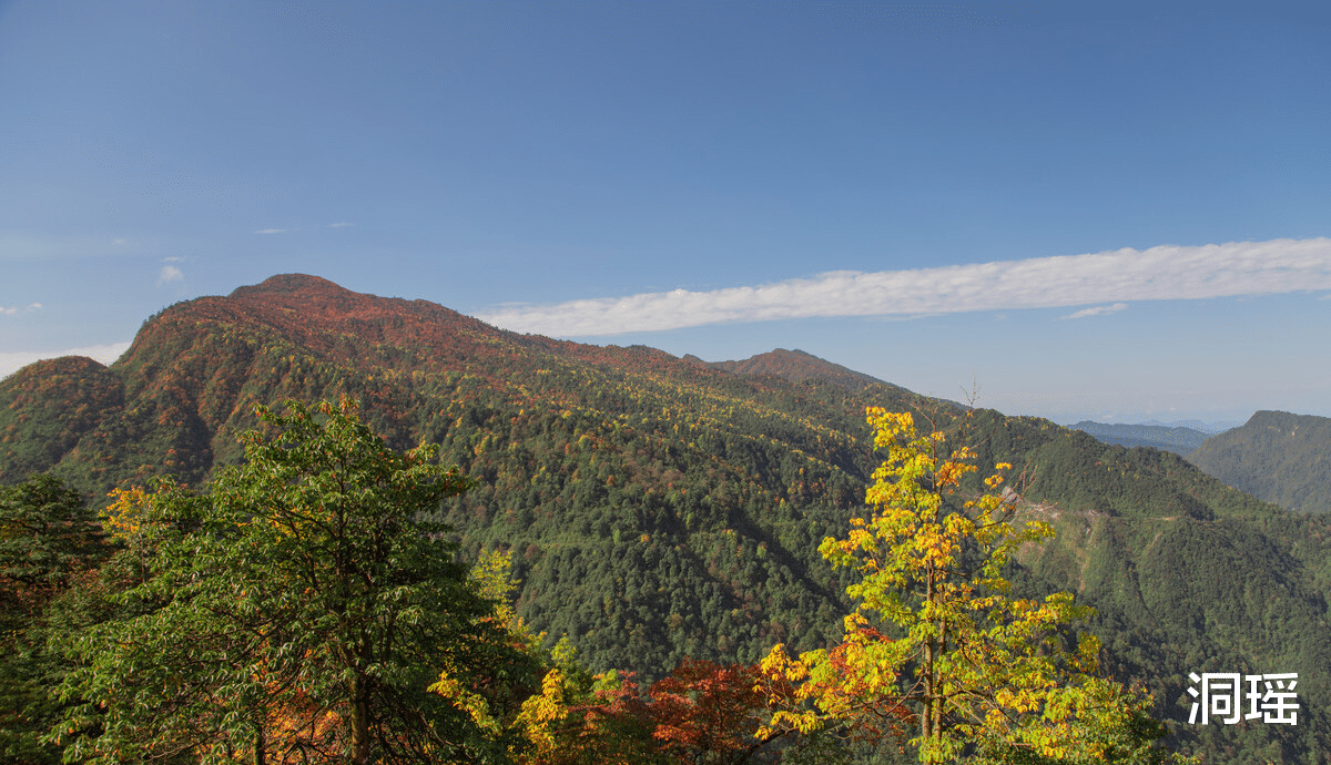 朝鲜|富士山脚下的森林，进去后很难再出来，却吸引了很多不想活的人