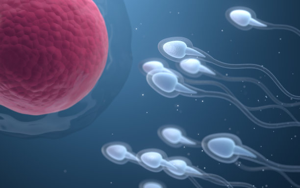 生命科学和生物技术的区别