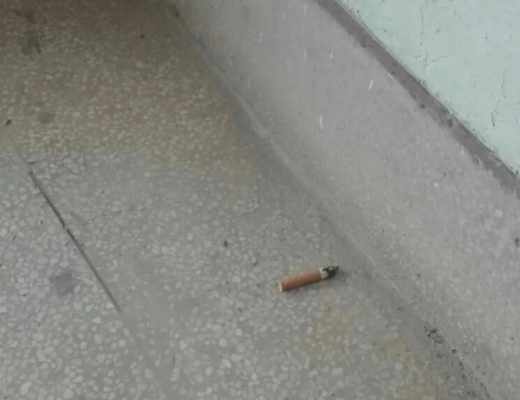 收养一条流浪狗，邻居老人嫌吵拿烟头烫狗，狗狗以德报怨