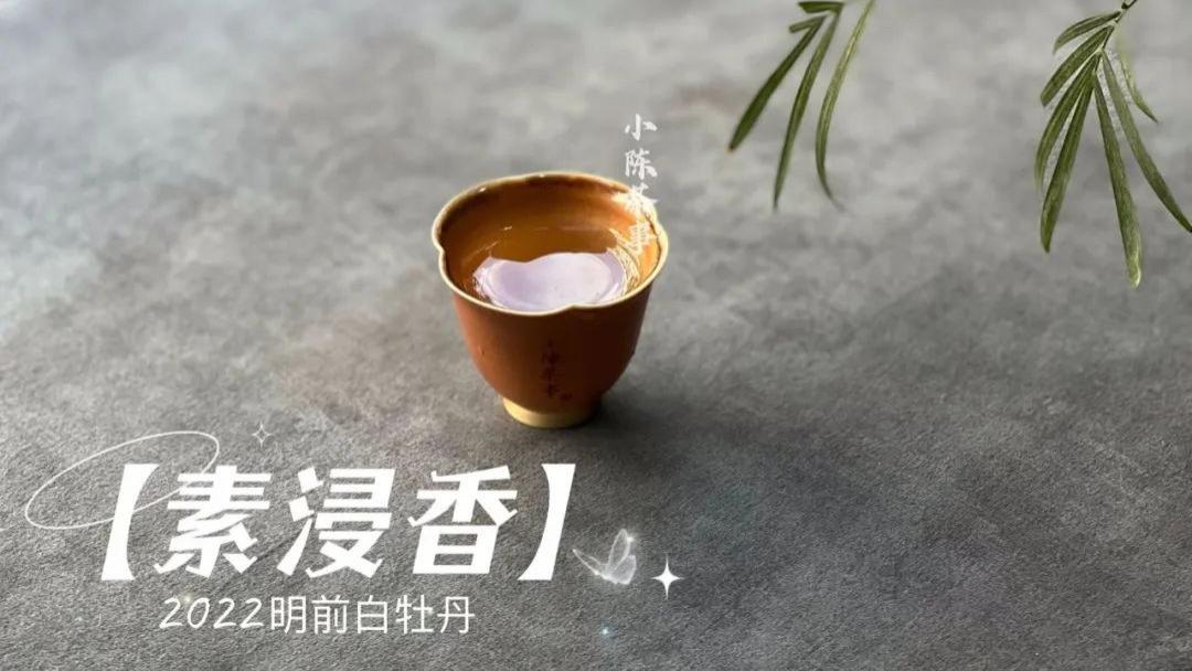 |紫砂壶那么好，为什么茶掌柜大多是用盖碗泡白茶，而不是紫砂壶？