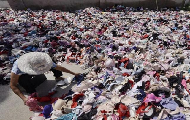 央视|收破烂成千万网红，拒绝400万年薪，被央视点赞，刘阿楠什么来头