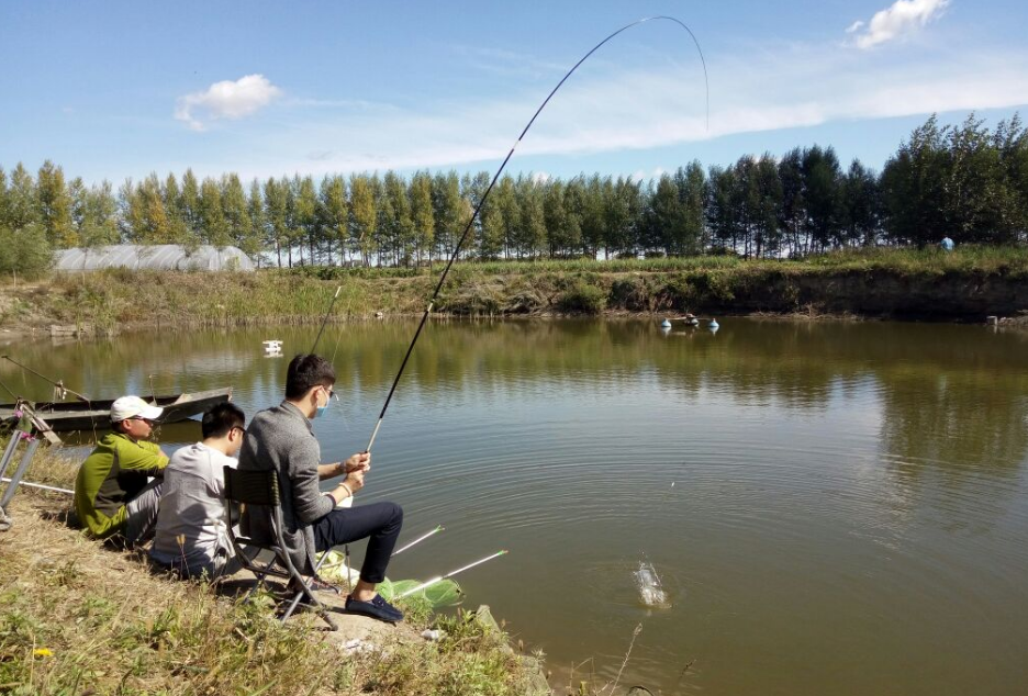 大板|冬季降温后鱼都藏在哪？找鱼窝还要看这几个位置，大板鲫的藏身地