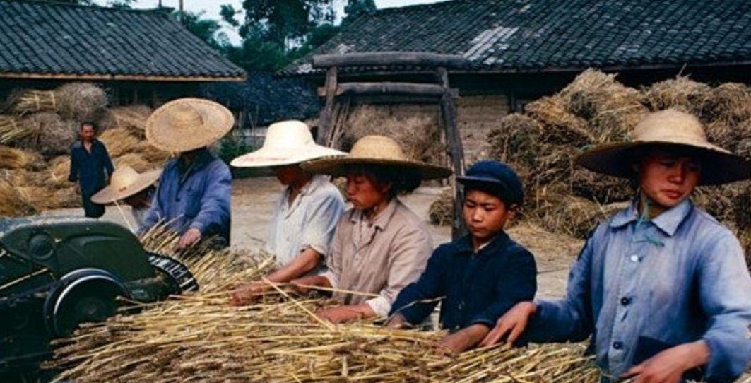 中国有5000年农业史，为什么却不如只发展了200年农业的美国呢？