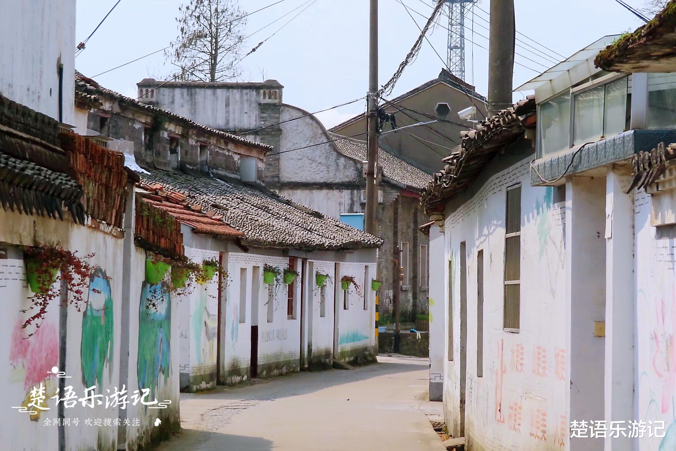 宁波|宁波又发现一处千亩油菜花海，旁边就是宁波网红古村，景美但人少