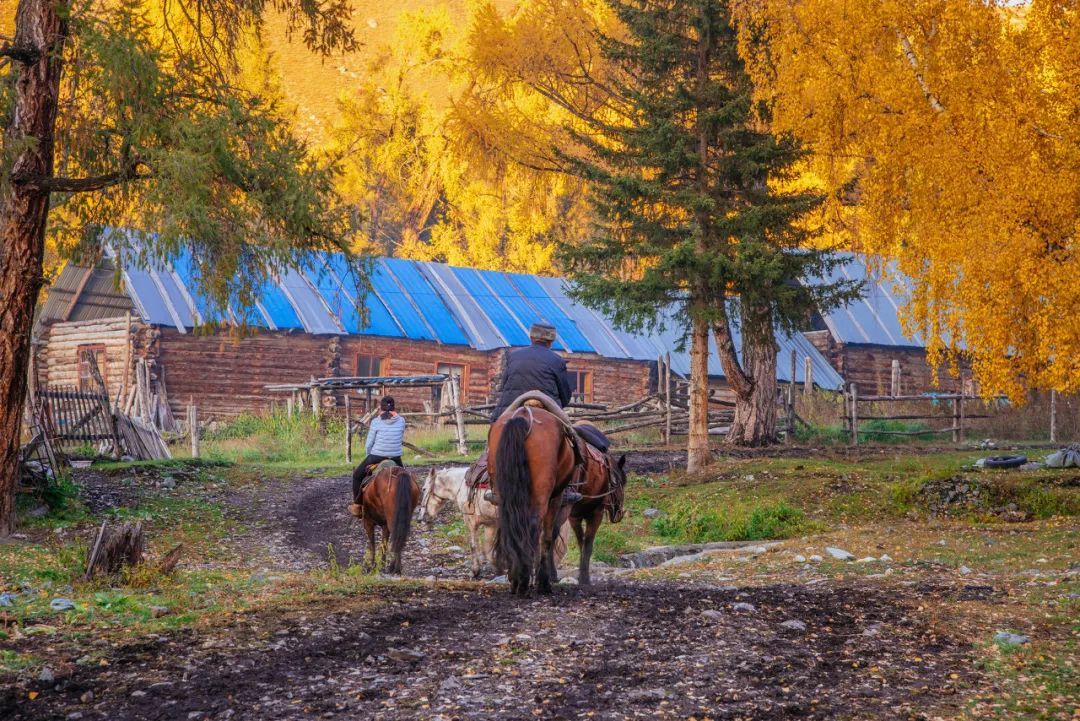 旅行|最适合一个人去的15个漫游地，累了就出去走一走