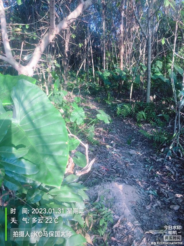 |大年大河大太阳，小打小闹小过瘾！