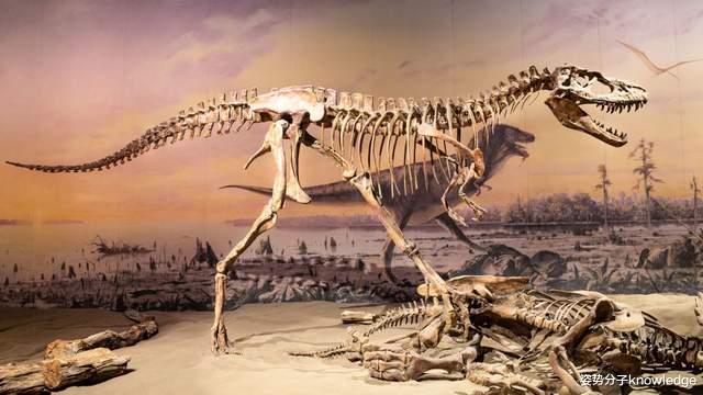恐龙也是直立行走,为何没进化成智慧生物?再给6600万年会怎样