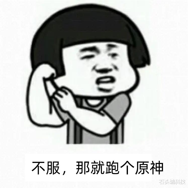 Java|一加Ace Pro死磕原神：最难啃的游戏也要啃下来
