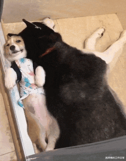 网购|钓鱼佬平时胆子都是这么大的吗?好家伙,还敢拍照!