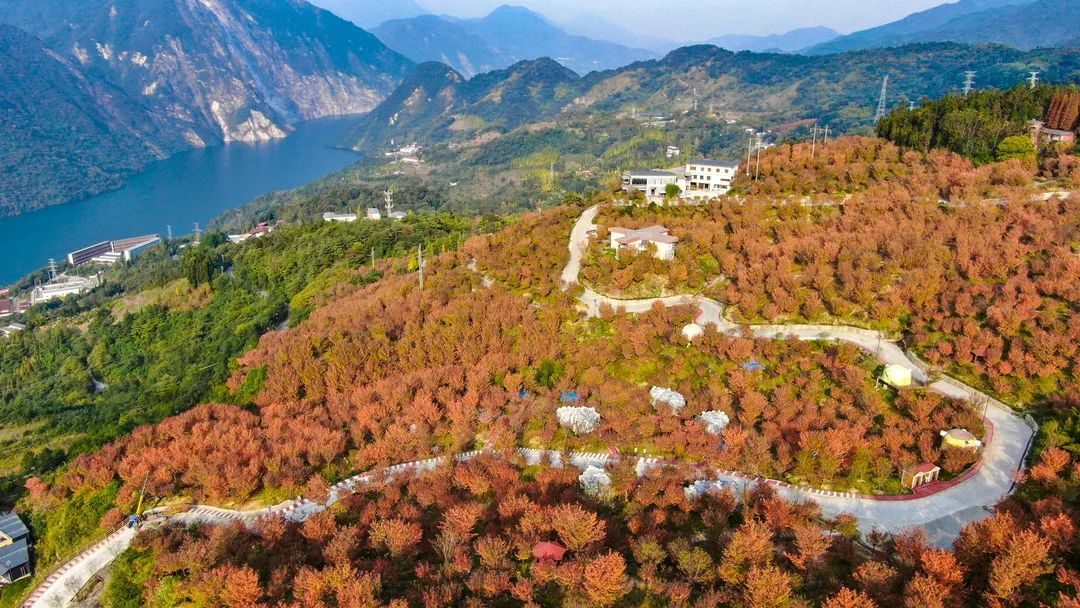 汶川|上榜！捷报频传冬日暖，无忧汶川有“喜”来报