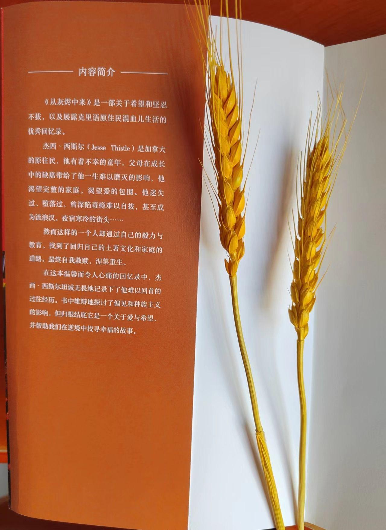 从一名流浪汉到大学教授的逆袭之路