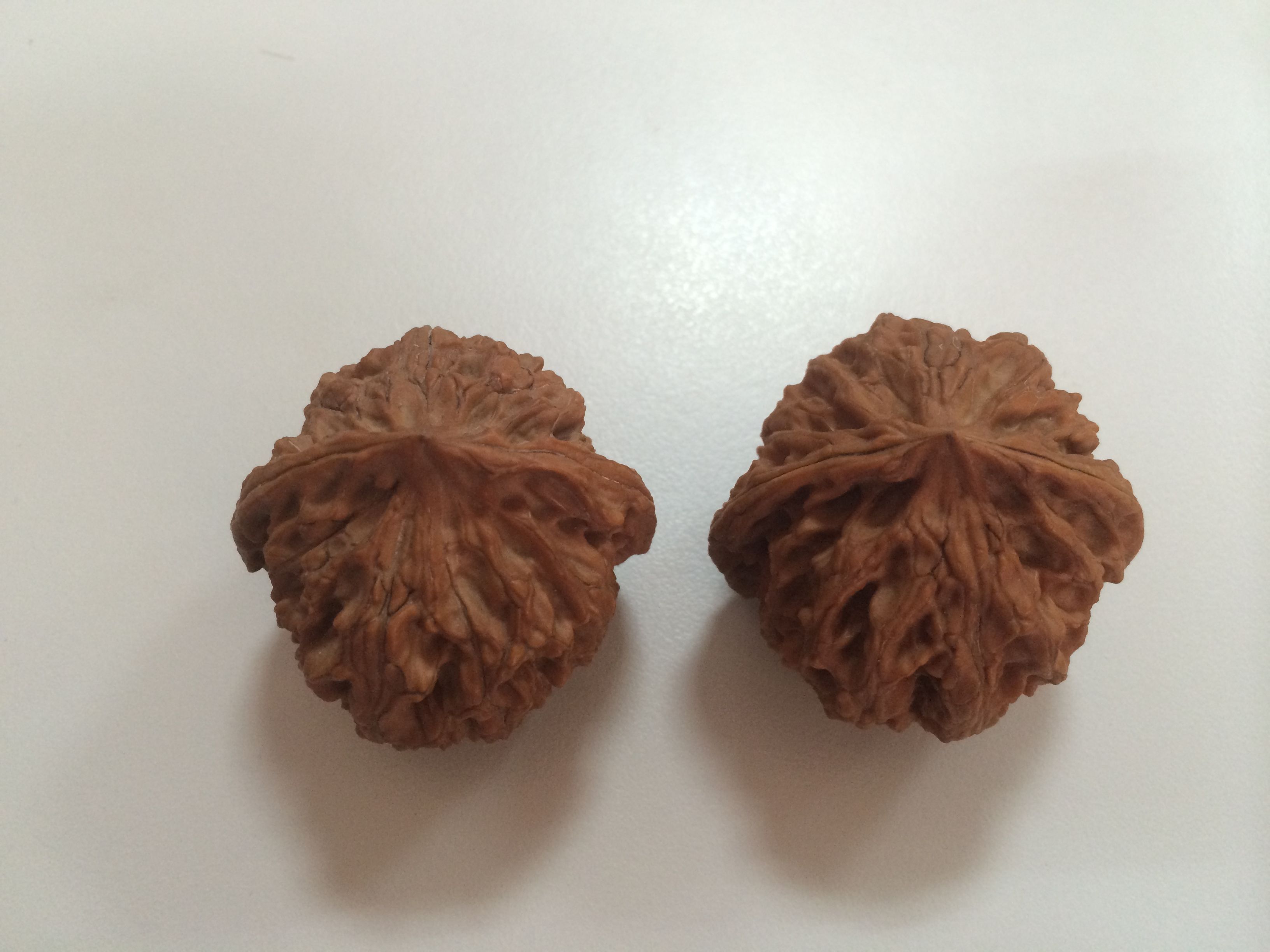 文玩|人见人厌的文玩恶习有哪些？