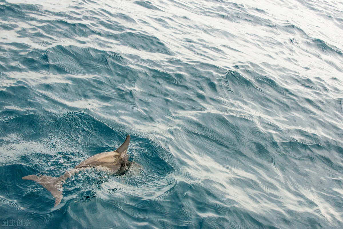这个常被忽视的摄影知识点,决定照片的画质!