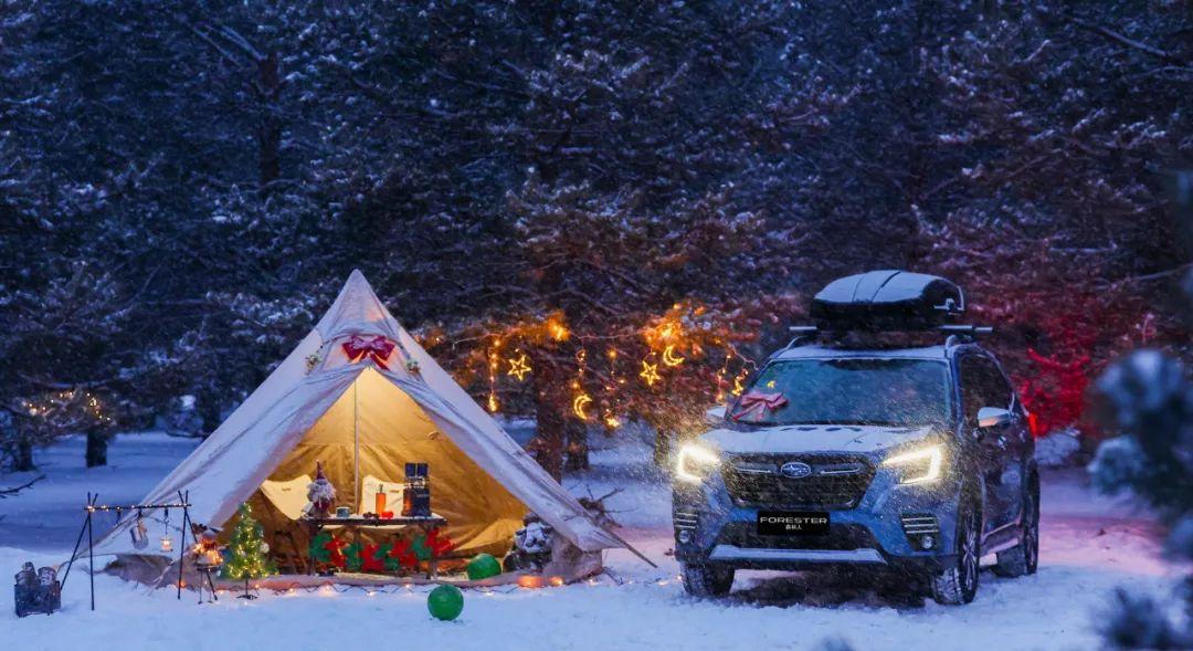 涨停|《雪国的森林》纪录片以外的故事:敖鲁古雅使鹿部落